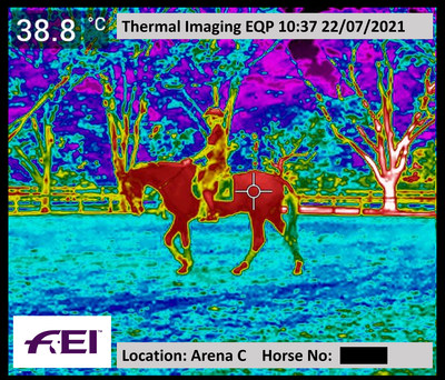 Example of monitoring horses in work using thermal imaging cameras at the Tokyo 2020 Olympic Games. © FEI.